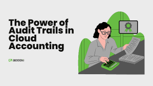 Audit Trail 299 168 Accoxi